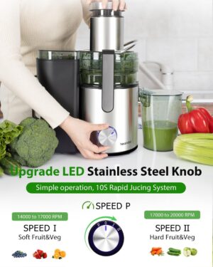 Healnitor 1000W 3-Speed LED Centrifugal Juicer Machines Vegetable and Fruit, Stainless Steel